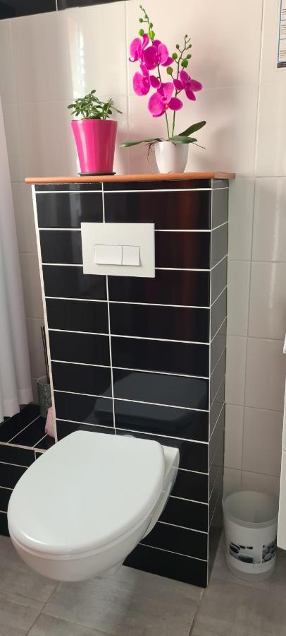 2 logements séparés indépendants jusqu'à 5 personnes, piscine chauffée à 3 min du Puy du Fou Les Épesses Exterior foto